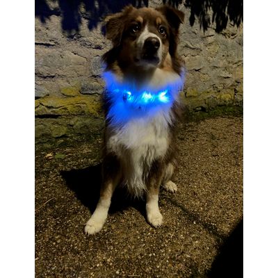 Collier lumineux