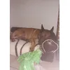 confortable