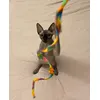 Super zabava