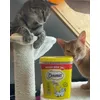 Wir empfehlen Dreamies 