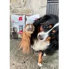Ouma les adore