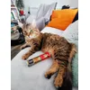 Elmo loves his Cosma snackies