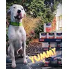 SETH - Dogo Argentino