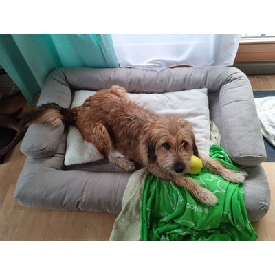 Miras couch