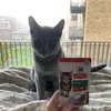 Milo meows for Science Plan kitty food