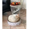 panier chat