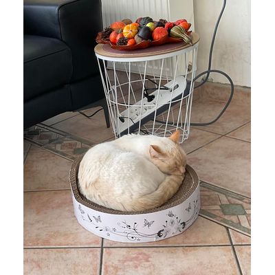 panier chat