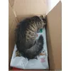 unboxing