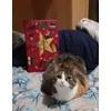 Margherita e il suo calendario 