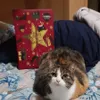 Margherita e il suo calendario