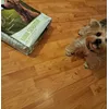 Charlie