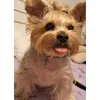Charlie