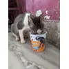oh wow new snacks yumm