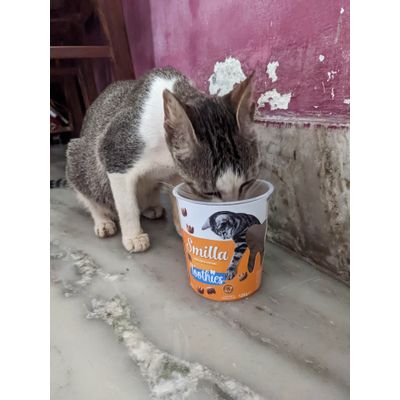oh wow new snacks yumm
