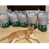 Nisip Tigerino