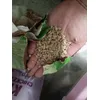 Cats best original 
