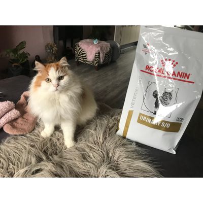 Boss met zijn favoriete voer