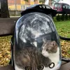 Tigro loves his backpack