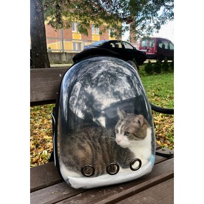 Tigro loves his backpack