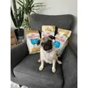 Lily loves her food