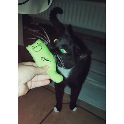 Fan du vert