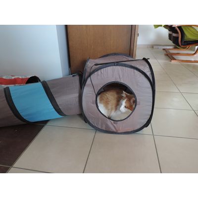 Ragnarr dans son tunnel