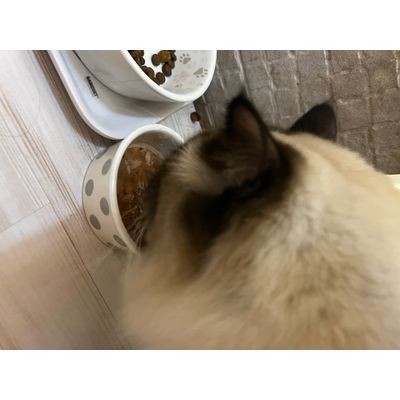 Soup