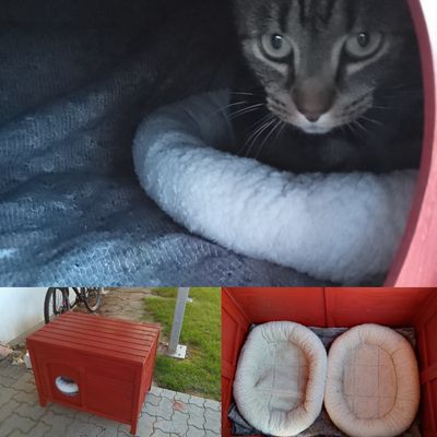 Min bandit bruger timer i sit