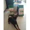 Mi interactivo Tobi