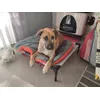 Tobi 