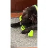 Herbie loves his new snack snake 