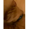 TIAKI