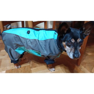 pies 10kg rozm 40