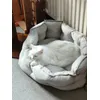 Nola in de nieuwe mand