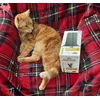 Henry loves Royal Canin