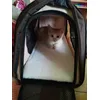 Kito