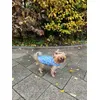 Die Lieblingsweste meines Hundes