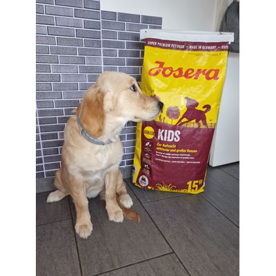 Josera