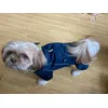 Shih Tzu 7 kg maat small