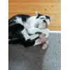 Fredchen sofort akzeptiert 
