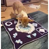 Charlie liebt den Teppich