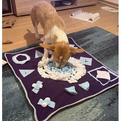 Charlie liebt den Teppich