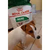 Ettore adora le Crocchette Royal Canin 
