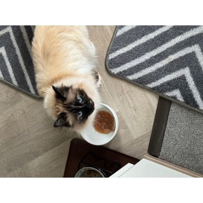 Lucy cosma tuna and carrots soup