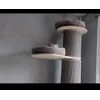Katzen rennen Kratzi hoch und runter