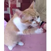 Very tasty
