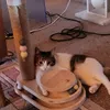 Nelli spielt gerne damit 