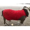 Amstaff