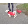 Benny e Ellie
