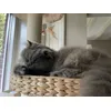 Queenofthecastle